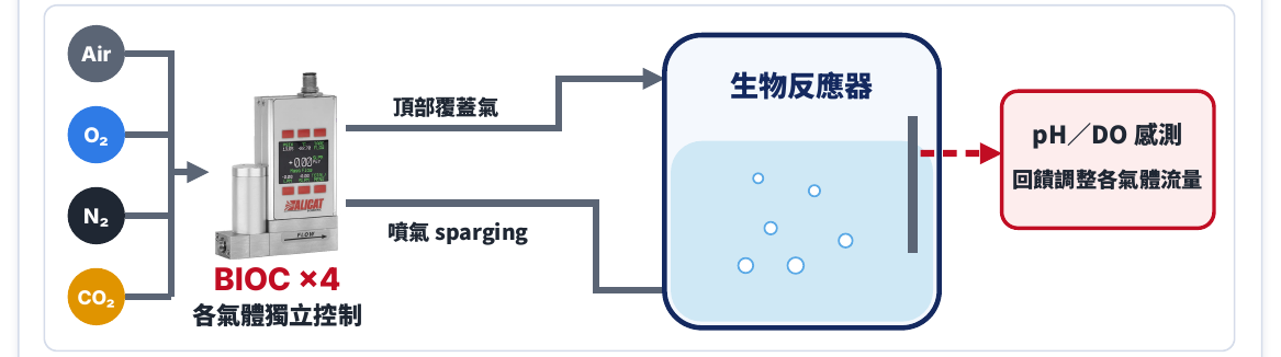 Alicat BIOC 生物反應器氣體質量流量控制器:多氣體通氣控制配置